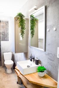 La salle de bains est pourvue d'un lavabo, de toilettes et d'un miroir. dans l'établissement Le Blue St Léon : 2 pièces COZY Lit King Size WIFI, à Colmar