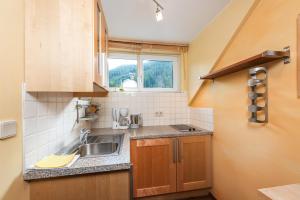 Köök või kööginurk majutusasutuses Ski- und Wander Appartements Schiffer