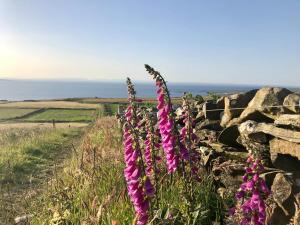 Paesaggio naturale nelle vicinanze del bed & breakfast