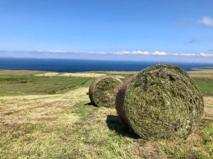 Paesaggio naturale nelle vicinanze del bed & breakfast