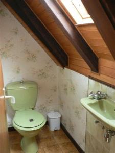 a bathroom with a green toilet and a sink at Residence 3 Chateaux in Ribeauvillé