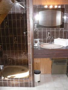 a bathroom with a sink and a shower with a mirror at Residence 3 Chateaux in Ribeauvillé