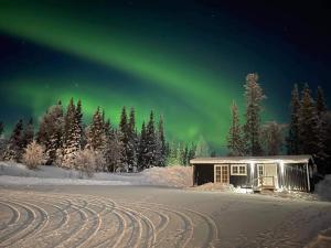 a house under the aurora in the snow with trees at Camp Borga in Borgafjäll