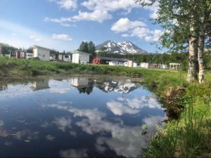 a reflection of a mountain in a pond at Camp Borga in Borgafjäll