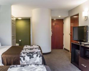 Μια τηλεόραση ή/και κέντρο ψυχαγωγίας στο Sleep Inn Richmond North