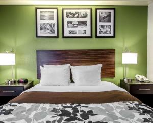 a bedroom with a bed with green walls and two lamps at Sleep Inn Louisville Airport & Expo in Louisville
