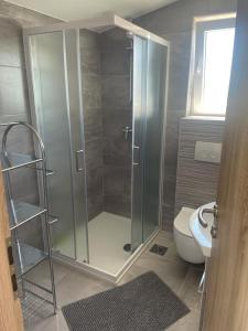 łazienka z prysznicem i toaletą w obiekcie Apartment Sandra - 40m from the sea & parking w Nin