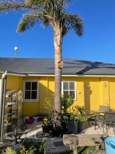 une maison jaune avec un palmier devant elle dans l'établissement KI Dragonfly Guesthouse, à Kingscote