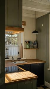 LandsmeerにあるTraditional family apartment with garden at countryside Amsterdamのキッチン(緑のキャビネット、シンク、窓付)