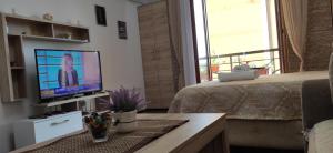 a bedroom with a television and a bed with a window at Apartman Temida Lux in Vrnjačka Banja