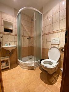 Koupelna v ubytování Horská Chata Olympia