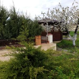 un jardín con cenador y un árbol florido en Дача в Санжейке с уютной территорией для отдыха у Чёрного моря, en Sanzhiyka