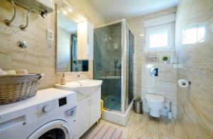 une salle de bain avec un lavabo et une douche dans l'établissement Apartment Banjada, à Žaborić 30 autres photos