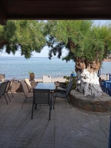 a table and chairs next to a tree and the ocean at Beach Front Kato Zakros in Káto Zákros