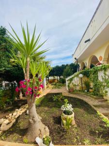 a garden with a palm tree and pink flowers at Villa Teresa in Ginosa Marina
