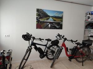 Jízda na kole v ubytování Steepleview House nebo okolí