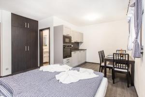 Kuchyň nebo kuchyňský kout v ubytování Apartmány Nová Salaš