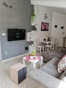 Apartment Darija في كوتور: غرفة معيشة مع أريكة وتلفزيون