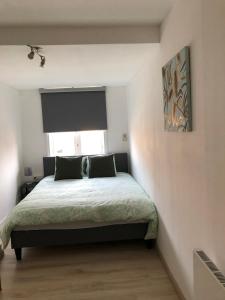 een slaapkamer met een bed met een raam en een bed sidx sidx sidx bij Residentie Fleur in De Haan