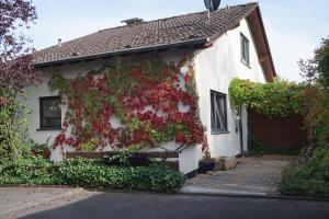 a white house with red flowers on the side of it at Haus Eifeldolomiten - Ankommen und Wohlfühlen in Gerolstein