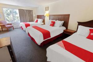um quarto de hotel com três camas com lençóis vermelhos e brancos em OYO Hotel Buena Vista Delhi em Delhi