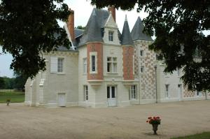 阿姆博斯La Vallière en Vue - gîte climatisé的一座城堡,前面有花瓶