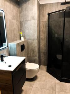 a bathroom with a shower and a toilet and a sink at Apartament Bastion Wałowa Gdańsk in Gdańsk