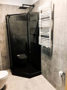 a shower with a glass door in a bathroom at Apartament Bastion Wałowa Gdańsk in Gdańsk