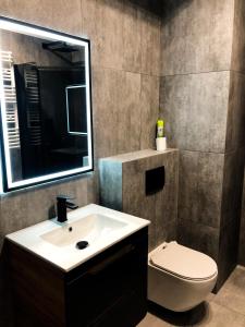 łazienka z umywalką, toaletą i lustrem w obiekcie Apartament Bastion Wałowa Gdańsk w Gdańsku