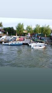a group of boats are docked on the water at Camping Casuta Mihaela in Crisan