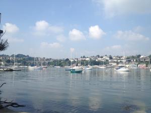 un grupo de barcos sentados en un cuerpo de agua en The Ferry House Inn, en Plymouth