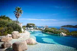 - une piscine avec des rochers, un palmier et de l'eau dans l'établissement U Capu Biancu, à Bonifacio
