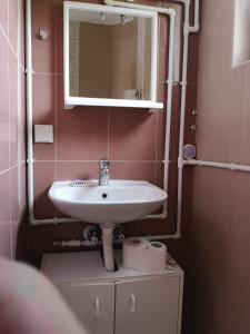 a bathroom with a sink and a mirror at Apartmani Žubor in Banja Koviljača