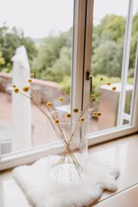 Fotografie z fotogalerie ubytování Maiers Johanniterbad Ringhotel Rottweil v destinaci Rottweil