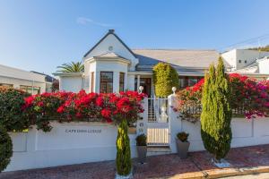 Gallery image of Cape Diem Lodge in Cape Town