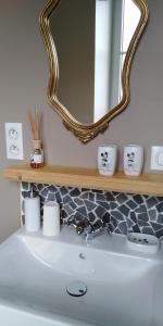 a bathroom with a sink and a mirror at Le vieux presbytère in Confracourt