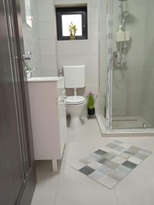 a bathroom with a toilet and a sink and a shower at Studio Timeea Mamaia-Nord in Năvodari