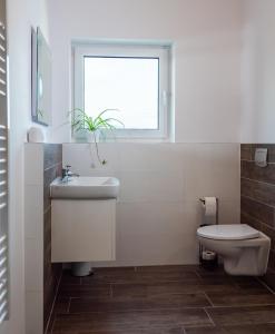 Een badkamer bij Apartman Eden