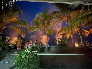 a group of people standing under palm trees at night at Casa Playa San Diego in San Diego