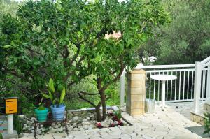 Zahrada ubytování Rose rooms at island of Rab