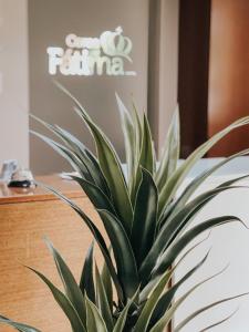 Certifikát, hodnocení, plakát nebo jiný dokument vystavený v ubytování Hotel Coroa de Fátima