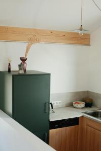 a kitchen with a green refrigerator and a sink at Bergauf Appartement in Grossarl