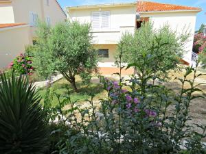 Zahrada ubytování Apartments EDO