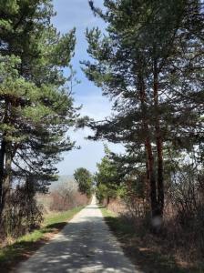 Galeriebild der Unterkunft Вила Мариам Villa Mariam in Batak