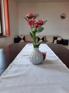 Galeriebild der Unterkunft Вила Мариам Villa Mariam in Batak + 20 Fotos