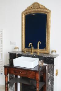 a bathroom with a sink and a mirror at Le Clos de la Canardière in Savigny-sur-Braye