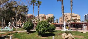 ein Park mit Palmen in einer Stadt mit Gebäuden in der Unterkunft ACV - Isla Park-1ª Linea Planta 1 Sur in Oropesa del Mar