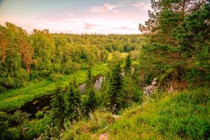 a view of a river in the middle of a forest at Park - Hotel Vselug in Peno