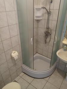 Kylpyhuone majoituspaikassa Apartment Šibenik Mandalina