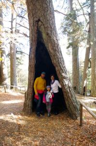 Albergo diffuso Ecobelmonte